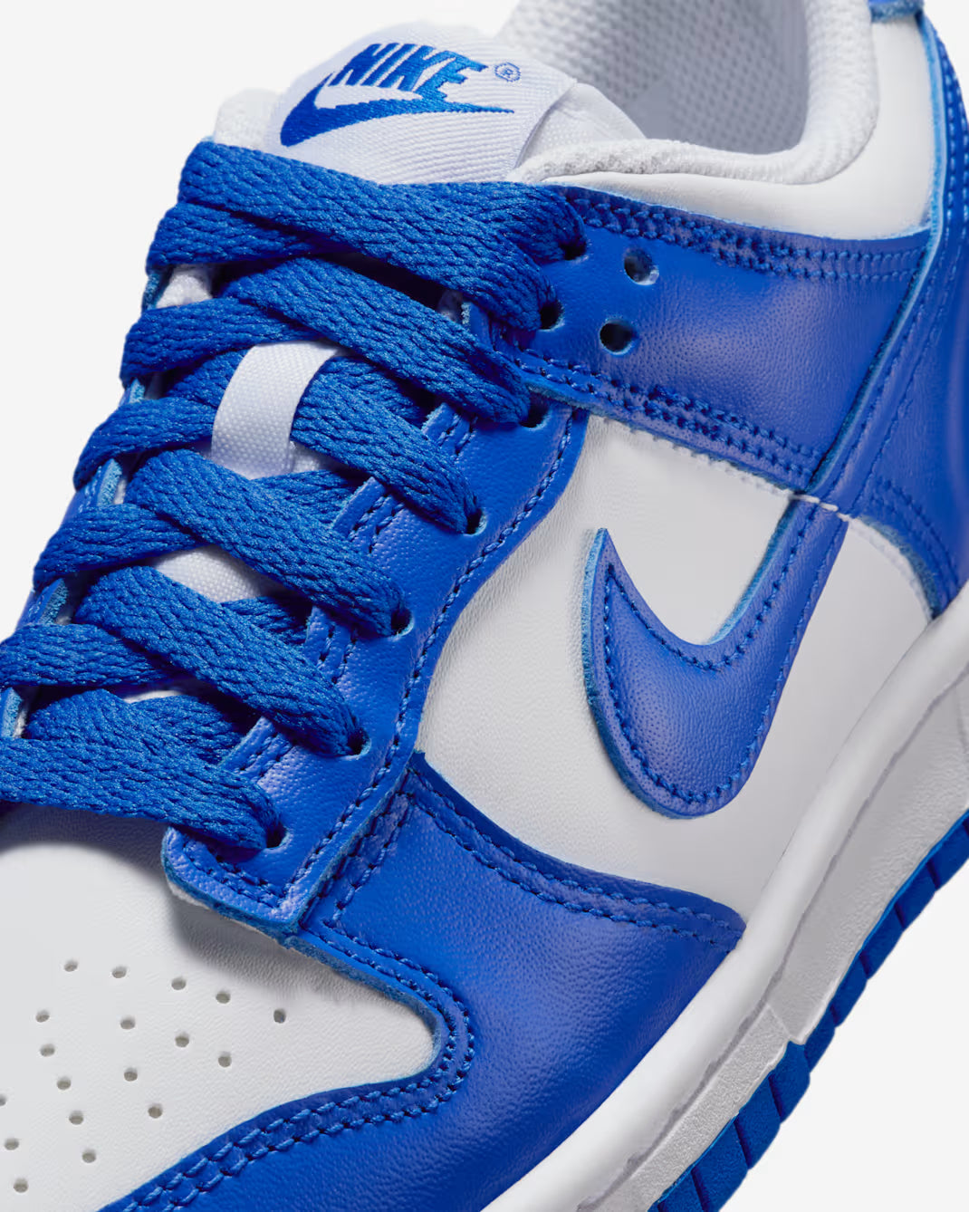 Scarpe NK Dunk Low PROMO NATALE